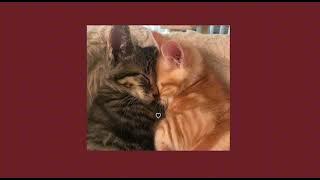 Lazy confessions - the moldy peaches sped up