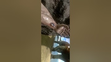 hack ark survival mobile apk100%