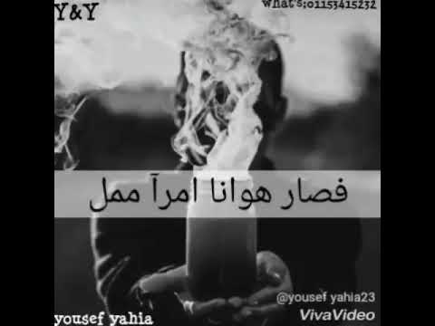 تمر ليالي وشوقي يقل