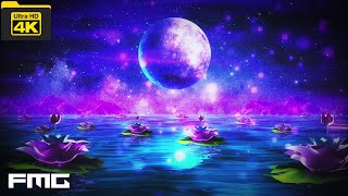 4K Video | Moonlight Loop | No Copyright Loop Video Background | No Copyright Stock Video