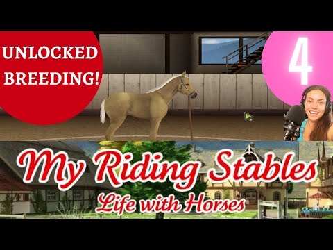 A breeding barn?! My riding stables: Life with horses