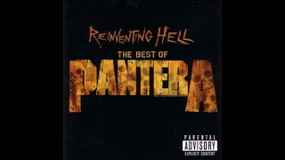 Immortally Insane | Pantera