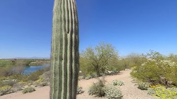 INSTA360 ONE R IMAGE AND AUDIO SAMPLE FOOTAGE