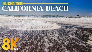 8K HDR Virtual Tour to Pelican State Beach, California – Relaxing Summer Walk by the Ocean screenshot 1