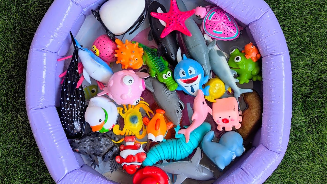 Ocean Animals for Preschool Kids & Toddlers | Learn Names & Easy Facts Playfully