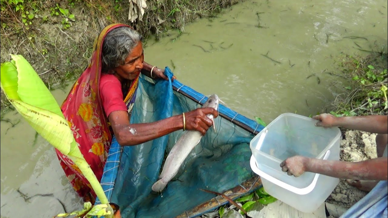 Grandma Catching Big Catfish !