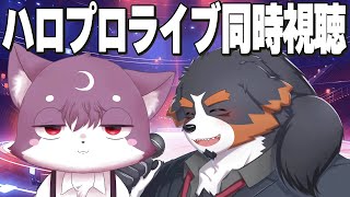 【Hello! Project 2024 Summer ALL OF US】アルタイル！夏のハロコンで推しを探す配信【Vtuber/ケモノ/千夜ちよ】