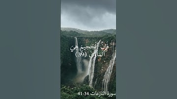 القارئ محمد كمال هاشم | تلاوة خاشعة