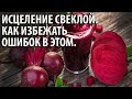 Исцеление свеклой. Как избежать ошибок в этом.