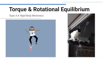 Torque and Rotational Equilibrium - IB Physics