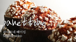 Daisy 파네토네 작업 영상 #panettone#파네토네