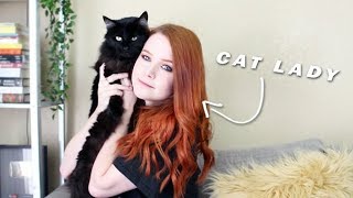 everything you need to know about cats