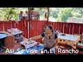 Prueba Estas Gorditas Dulces De Requesón Asi Se Vive En El Rancho