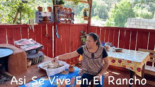 Prueba Estas Gorditas Dulces De Requesón Asi Se Vive En El Rancho