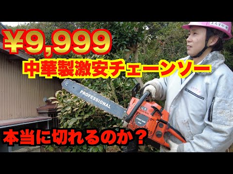 Logging] Cheap Chinese-made chainsaws, should you buy them