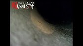 ほん呪68 16 7 2リリース 予告編 Youtube ほん呪68 16 7 2リリース 予告編 Youtube
