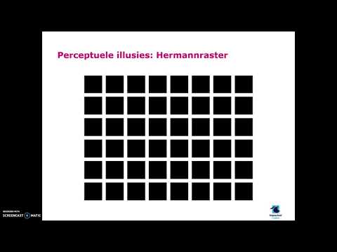 Video: STOORNISSEN VAN SENSATIE EN PERCEPTIE. Theorie