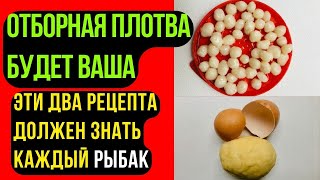 Две Насадки Для Рыбалки На Плотву, Карася, Леща. Лови Крупняк Всю Весну.