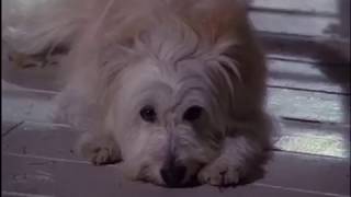 7Th Heaven S03E13 - Fight The Camdens Vs The Tripps