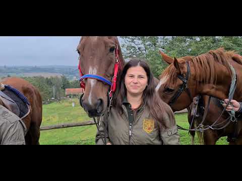 Video: Mađarska Pasmina Konja Konja Hipoalergijska, Zdravlje I životni Vijek