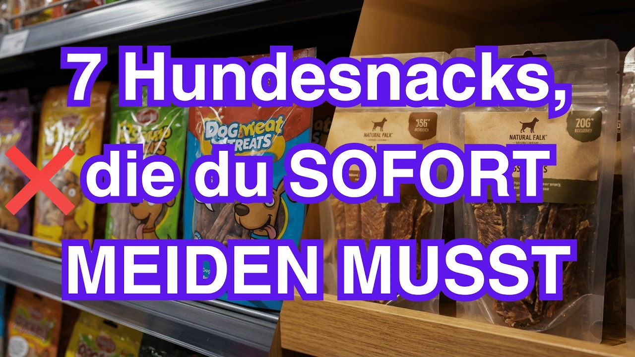 7 Hundesnacks, die du SOFORT meiden solltest – und 2, die sich wirklich lohnen
