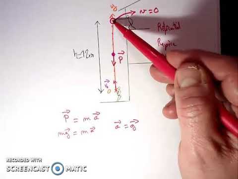 Vidéo: Qu'est-ce que le mouvement vertical en physique ?