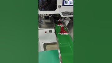 Fully Automatic Terminal Crimping Machine With Terminal Connector Assembly Insertion  #terminal