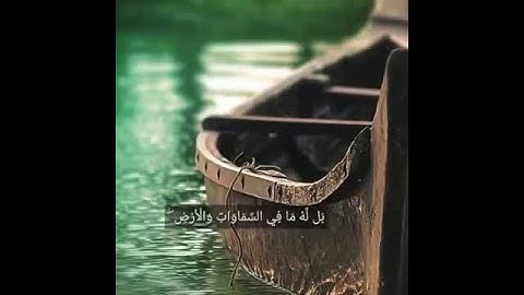 { وقالوا اتخذ الله ولدا سبحانه بل له ما في السماوات والأرض كل له قانتون ( ١١٦ )  } [سورة البقرة]