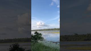 Sri Lanka 🇱🇰 Weather #youtubeshorts