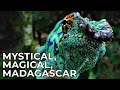 Madagascar - Mystical Island Paradise in the Indian Ocean | Free Documentary Nature
