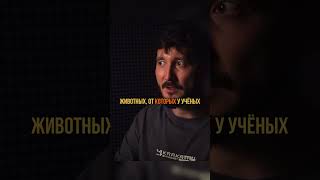 Как может выглядеть внеземная жизнь? #наука #океан #биология #физика #космос #земля #вселенная
