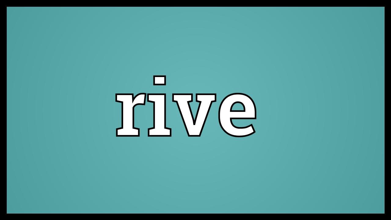 rive gauche meaning