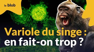 Épidémie de variole du singe : les inquiétudes, ce que l’on sait | Interview