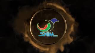 Snim Company Profile