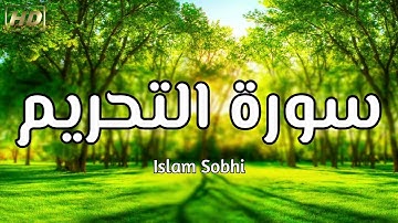 سورة التحريم كاملة - بصوت القارئ إسلام صبحي