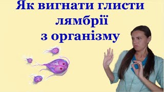 Як вивести глисти лямбрії у дорослих, дітей та вагітних. Лікування таблетками та травами