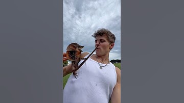 I GOT ATTACKED BY THIS LIZARD! #shorts