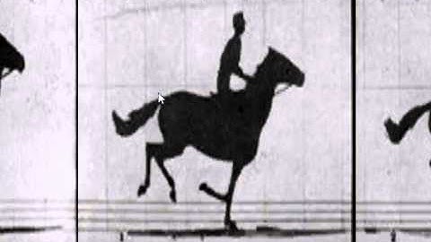 NifSkope Kinetograph Horizontal Rotation Working wip 3