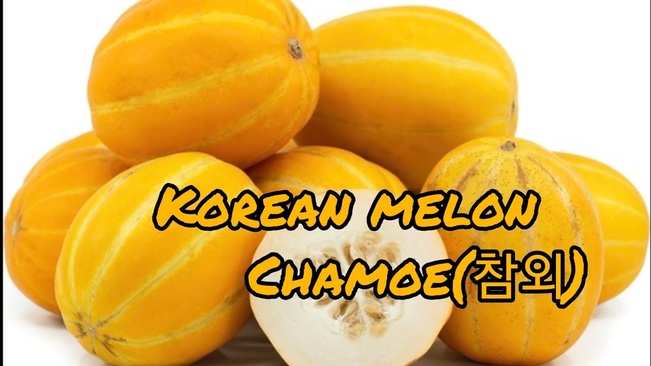 Korean MelonChamoe(참외) YouTube