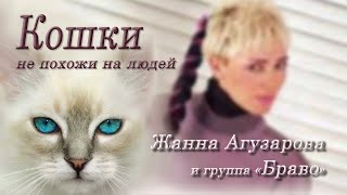 "Кошки" Жанна Агузарова и группа "Браво". Красивые и милые котята для хорошего настроения. "Кошки" Жанна Агузарова и группа "Браво". Красивые и милые котята для хорошего настроения.