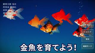金魚育成アプリ「ポケット金魚」 screenshot 4