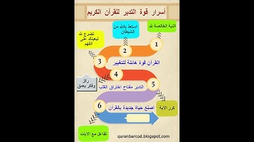 سورة محمد ج2