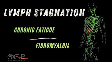 Stagnation Inflammation