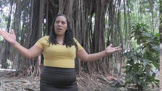 Miniatura del video "La Dulce Presencia Hna Yanira DE Bonilla"