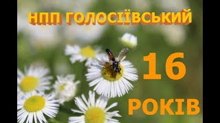 Святкова подія в НПП ГОЛОСІЇВСЬКИЙ - 16 РОКІВ