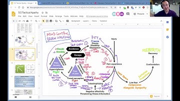 The 3 Steps of Narcissistic ABUSE & Codependent ENABLING | How everyone LOOPs in story