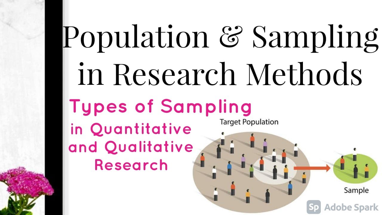 in research methodology what is population