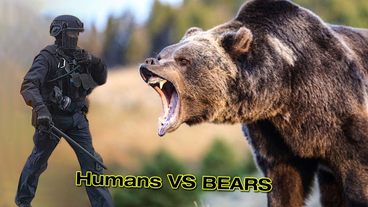 BEARS Fighting With Humans Compilation Why Do Men Fight With Bears bears-fighting-with-humans-compilation-why-do-men-fight-with-bears