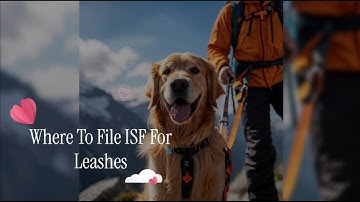 Where To File ISF For Leashes