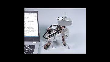 PiDog AI Robot Kit From SunFounder Now IN STOCK 01/2025
